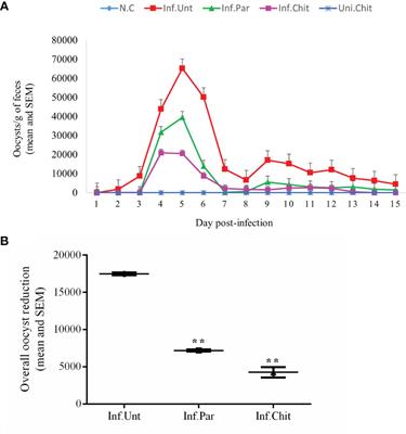 Chitosan Protects Immunosuppressed Mice Against Cryptosporidium parvum Infection Through TLR4/STAT1 Signaling Pathways and Gut Microbiota Modulation